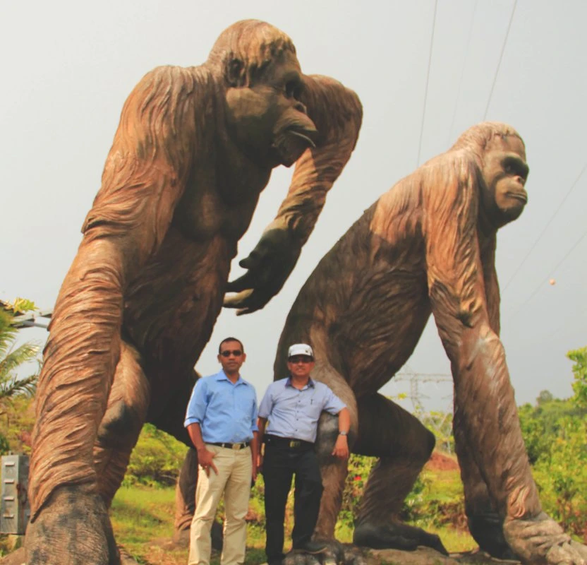 31 2001 Orang Utan Batam